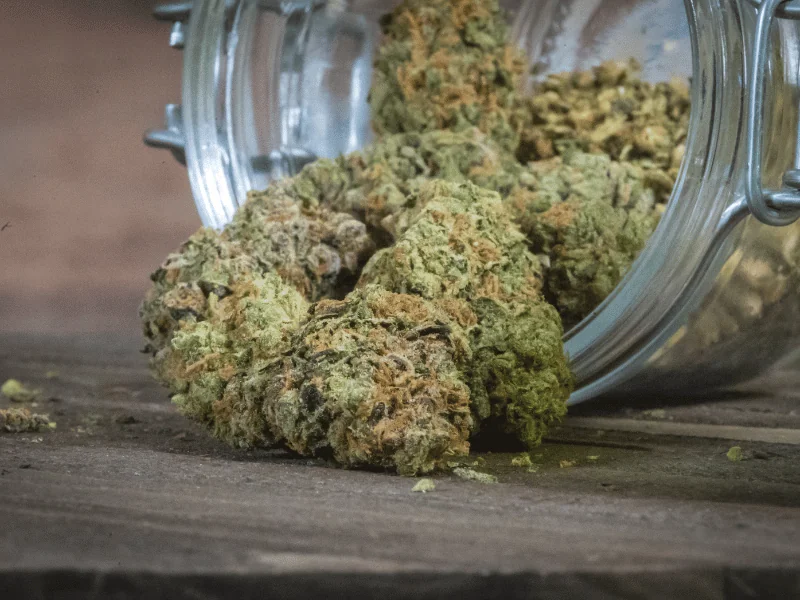 Where to Find Quality THCA Flower — Alive & Well Hemp Blog